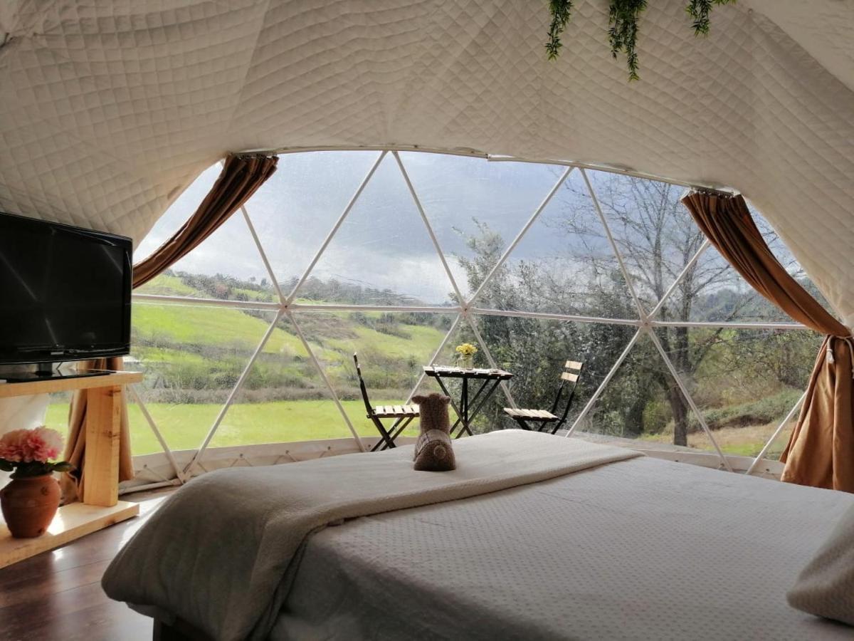 Glamping Quintana Ξενοδοχείο Χιχόν Εξωτερικό φωτογραφία