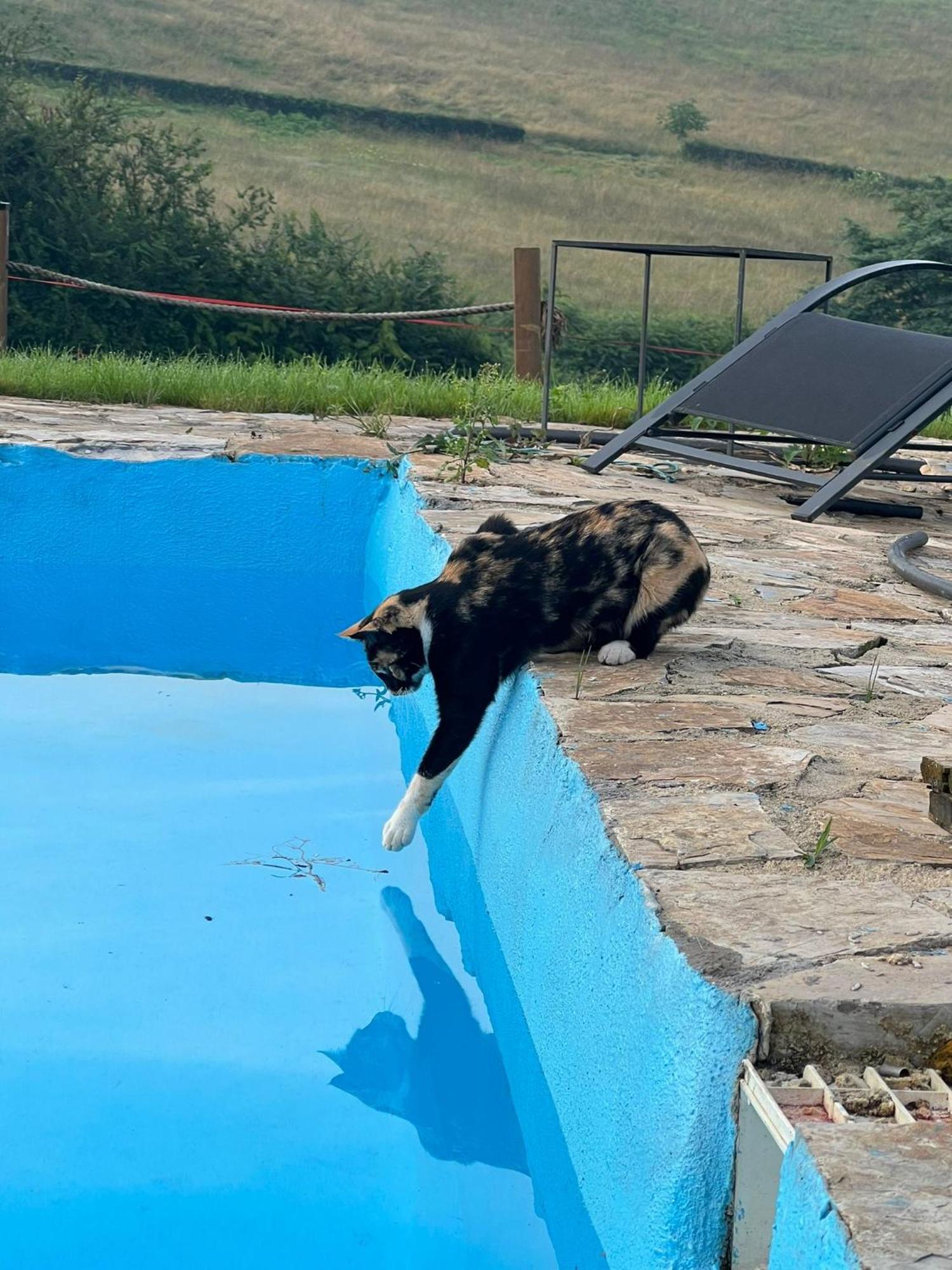 Glamping Quintana Ξενοδοχείο Χιχόν Εξωτερικό φωτογραφία